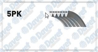 GATES 5PK1800 Kanalli Kayis Accent Era 1.5crdi 05- Elantra 1.6crdi 06-